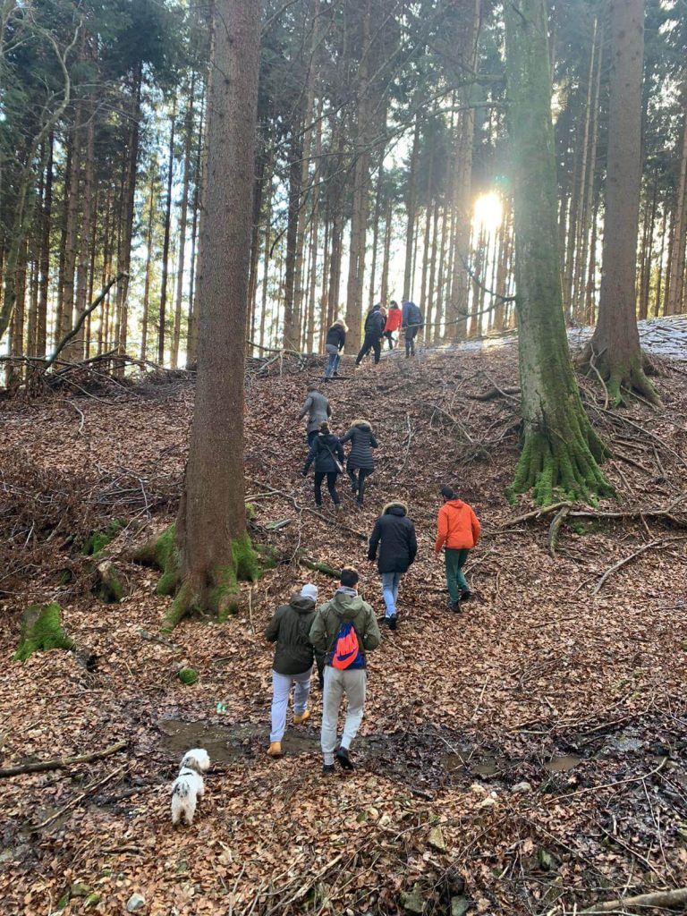 Waldwanderung