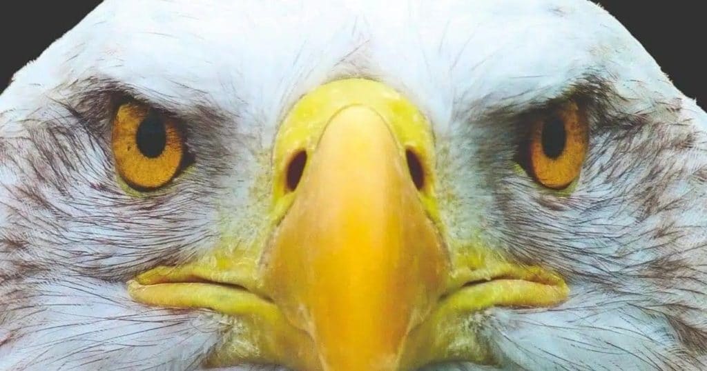 Sei kein Patient! | AMOR FATI