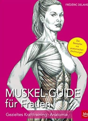 Muskel Guide für Frauen
