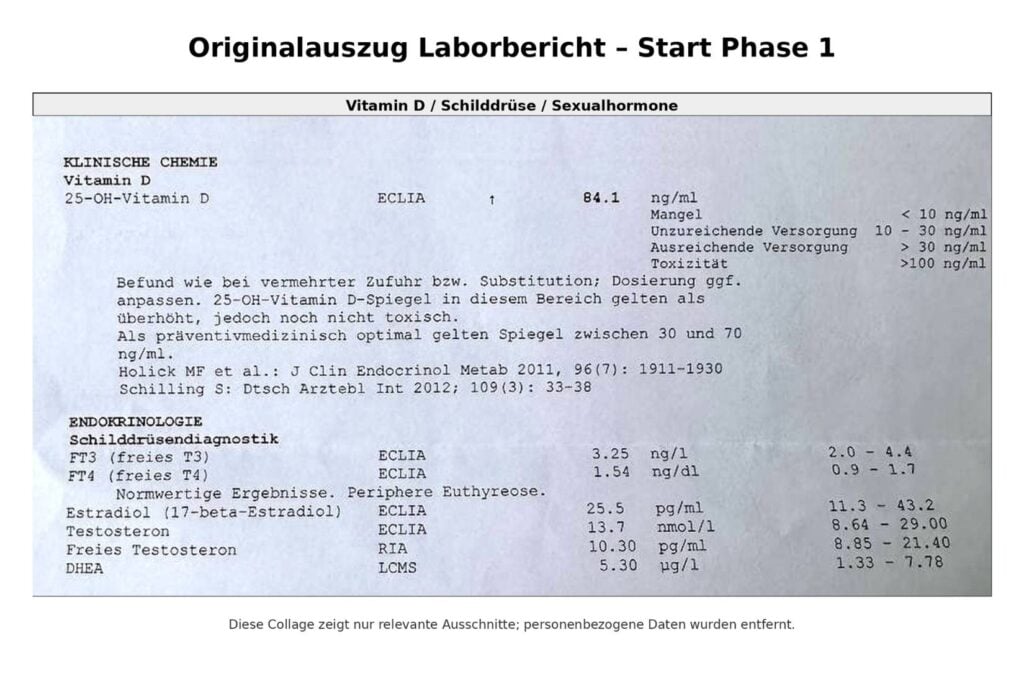 Originalauszug Laborbericht - Start Phase 1